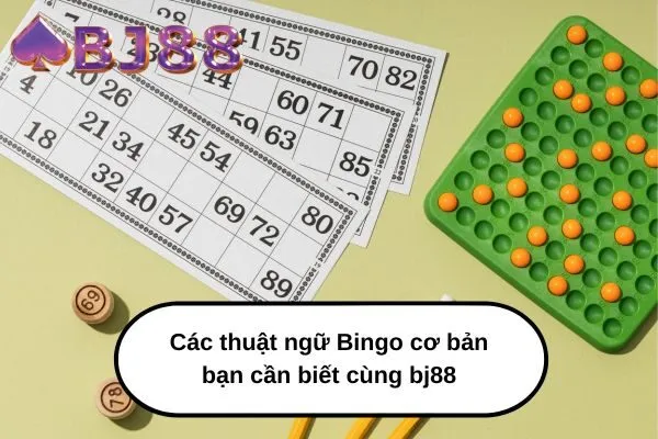 Các thuật ngữ Bingo cơ bản bạn cần biết cùng bj88